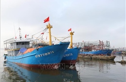 Quảng Trị: Nhiều tàu cá nằm bờ do giá dầu tăng cao