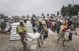Đối mặt khủng hoảng lương thực, 3 triệu người ở vùng Sừng châu Phi cần viện trợ khẩn