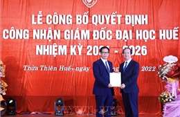 Phó Giáo sư, Tiến sỹ Lê Anh Phương giữ chức Giám đốc Đại học Huế