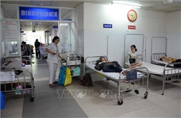 Gia tăng số ca mắc sốt xuất huyết tại Đà Nẵng