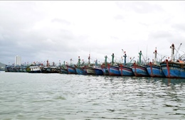 Nhiều tàu thuyền ở Bình Định nằm bờ vì giá xăng dầu tăng