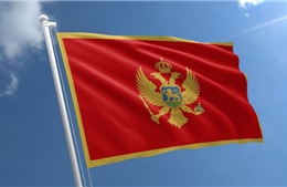 Điện mừng Quốc khánh nước Cộng hòa Montenegro