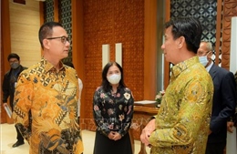 Thúc đẩy quan hệ hợp tác Việt Nam - Indonesia