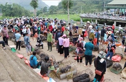 Du lịch Việt Nam: Độc đáo chợ phiên San Thàng, Lai Châu