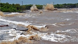Công bố tình huống khẩn cấp về thiên tai đối với sạt lở đê biển Tây tỉnh Cà Mau