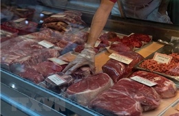 Australia phát hiện virus gây bệnh lở mồm long móng trong thịt lợn