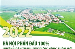 Năm 2022: Hà Nội phấn đấu 100% huyện hoàn thành xây dựng nông thôn mới