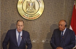 Ai Cập hi vọng tiếp tục hợp tác với Nga