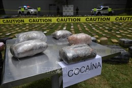 Anh thu giữ 1 tấn cocaine trôi nổi ở Eo biển Manche