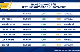 Thị trường hàng hoá nối dài đà hồi phục