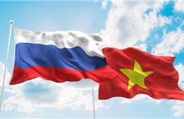 Điện mừng nhân kỷ niệm 10 năm quan hệ Đối tác chiến lược toàn diện Việt Nam - Nga