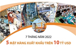 Năm mặt hàng xuất khẩu trên 10 tỷ USD trong  7 tháng năm 2022