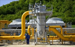 Các nước EU và Azerbaijan đẩy mạnh hợp tác vận chuyển khí đốt