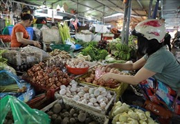 Giá thực phẩm tại các chợ đầu mối ở Hà Nội giảm nhẹ