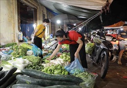 Hà Nội: Hàng hóa dồi dào, giá rau xanh &#39;hạ nhiệt&#39;