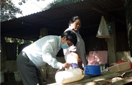 Ninh Thuận: Nỗ lực loại bỏ nguy cơ bùng phát dịch sốt xuất huyết
