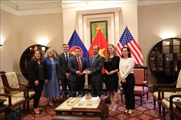 Đại sứ quán Việt Nam tại Mỹ tiếp nhận hiện vật, cổ vật văn hoá từ FBI