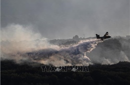Cháy rừng lan rộng trên các dãy núi ở miền Đông Nam nước Pháp