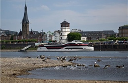 Lưu thông trên sông Rhine của Đức gián đoạn vì tàu mắc cạn