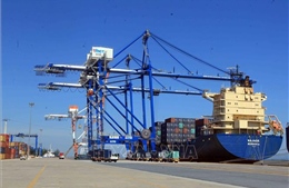 Bộ GTVT lên tiếng về đề nghị của Hải Phòng thành lập Ban quản lý khai thác cảng biển