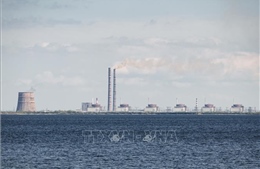 Nga, Pháp kêu gọi IAEA thanh sát nhà máy điện hạt nhân Zaporizhzhia