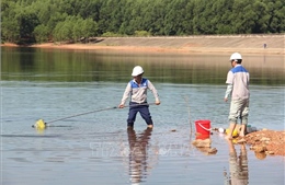 Khẩn trương xác định nguyên nhân cá chết tại hồ Bộc Nguyên, Hà Tĩnh