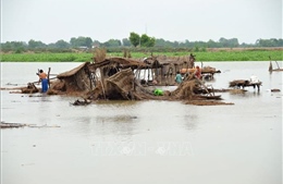 Pakistan: Lũ lụt khiến hơn 800 người thiệt mạng, phá huỷ gần hàng chục nghìn ngôi nhà