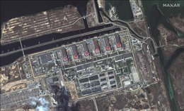 Ukraine: Nhà máy điện hạt nhân Zaporizhzhia kết nối trở lại với lưới điện quốc gia