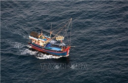 Kiên Giang kiên quyết ngăn chặn tàu cá khai thác trái phép ở vùng biển nước ngoài