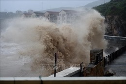 Trung Quốc kích hoạt ứng phó khẩn cấp đối phó với bão Muifa