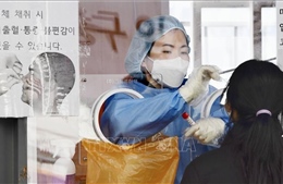 Hàn Quốc: Cảnh báo &#39;nguy cơ kép&#39; về dịch bệnh vào mùa Thu - Đông
