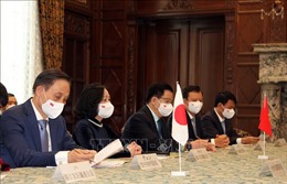 Đồng chí Trương Thị Mai: Việt Nam coi trọng quan hệ với Nhật Bản
