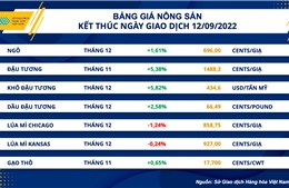 Giá của nhiều mặt hàng nông sản và kim loại ghi nhận mức tăng vọt