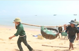 Ngư dân Quảng Bình trúng mùa cá cơm, thu lợi lớn