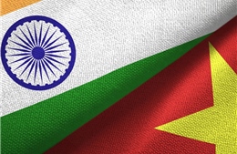 Việt Nam - Ấn Độ: Tình hữu nghị bền chặt theo thời gian