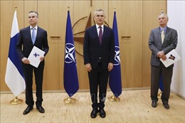Bồ Đào Nha ủng hộ Phần Lan và Thụy Điển gia nhập NATO