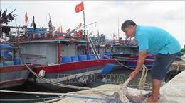 Ngư dân Thừa Thiên – Huế khẩn trương neo đậu, gia cố trụ giữ tàu thuyền