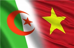 Điện mừng kỷ niệm 60 năm Ngày thiết lập quan hệ ngoại giao Việt Nam - Algeria