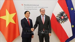 Tăng cường quan hệ kinh tế Áo - Việt Nam
