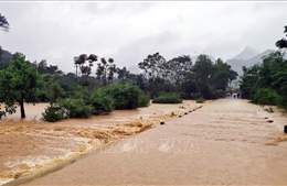 Các tỉnh Thanh Hóa, Nghệ An, Hà Tĩnh chủ động ứng phó với mưa lũ