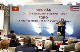 Thúc đẩy quan hệ đầu tư thương mại giữa Việt Nam và Cuba