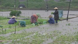 Phú Yên: Chủ động ứng phó với mưa lũ và sạt lở đất
