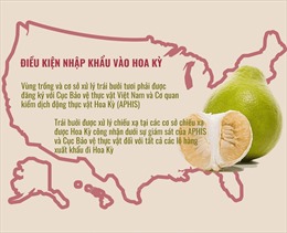 Bưởi trở thành trái cây thứ 7 của Việt Nam nhập khẩu vào Hoa Kỳ