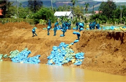 Khẩn trương xử lý sự cố sạt lở bờ sông Quảng Huế