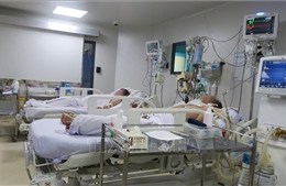 TP Hồ Chí Minh: 29 trường hợp tử vong do sốt xuất huyết​