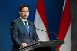 Hungary tuyên bố sẽ phủ quyết các lệnh trừng phạt mới của EU nhằm vào khí đốt Nga