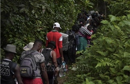 Người di cư rầm rộ vượt rừng tới Mỹ, nguy cơ xảy ra khủng hoảng nhân đạo chưa từng có