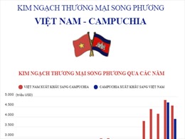 Kim ngạch thương mại song phương Việt Nam - Campuchia   