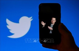 Tỷ phú Elon Musk cam kết Twitter tuân thủ chính sách nội dung số của châu Âu