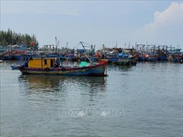 Bà Rịa-Vũng Tàu: Tàu cá 6 mét trở lên phải có giấy phép khai thác thủy sản
